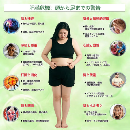 内臓脂肪対策サポート 👨‍⚕️👩‍⚕️GeeLemon®＆NAD+ 8-in-1 ナノ強化フォーミュラ — 肥満、肌のたるみ、糖尿病、睡眠時無呼吸症候群、関節の悩み、その他健康上の懸念にアプローチ🛍️